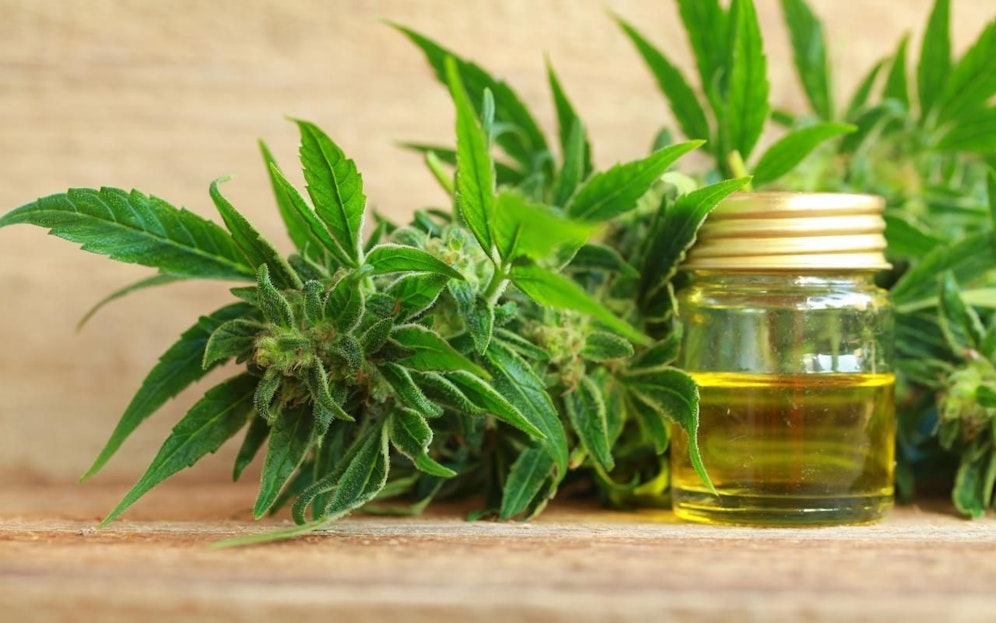 Während 2018 noch sämtliche CBD-Produkte in Österreich verkauft werden durften, gilt das 2019 nicht mehr.