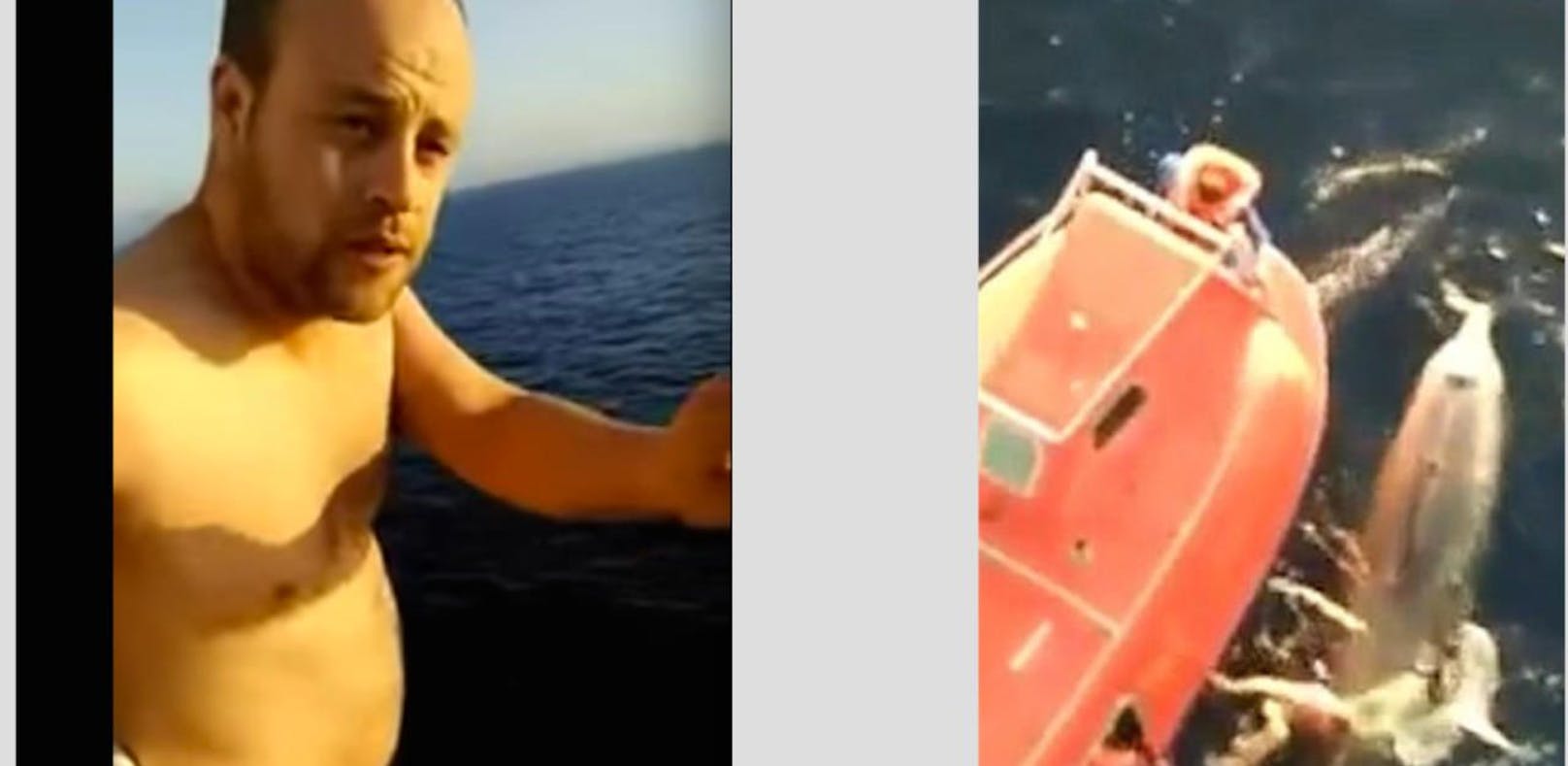 Held: Kapitän springt von Bord, um Wal zu retten