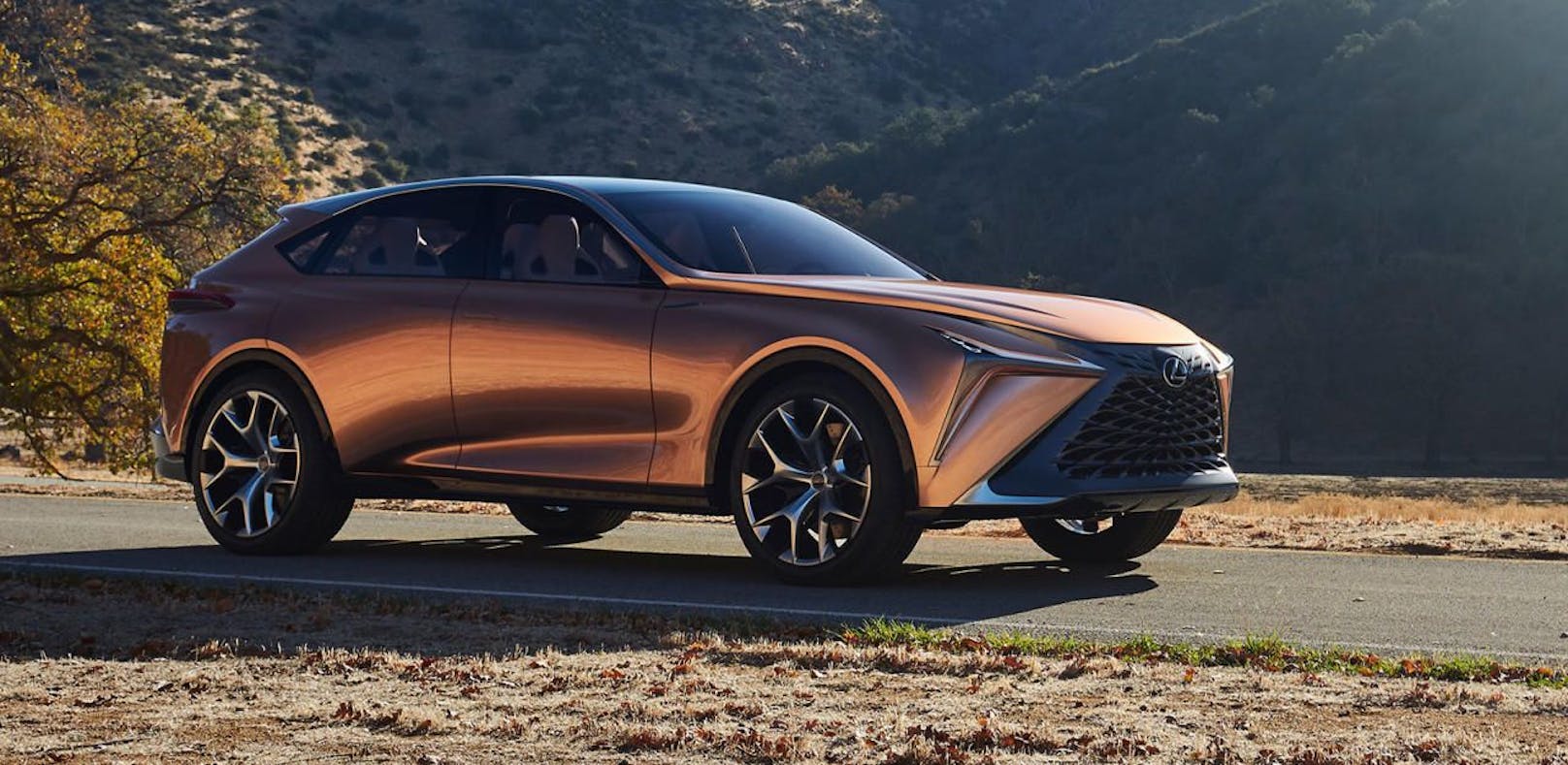 Lexus der Zukunft: LF-1 Limitless Concept