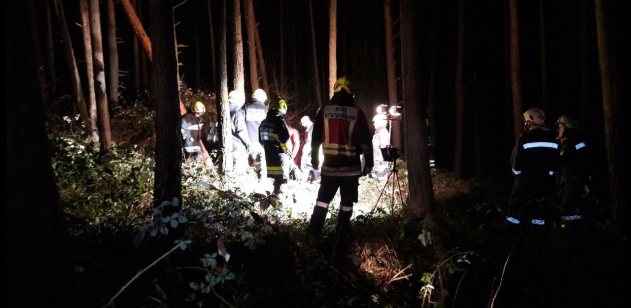 Heute.at - Herzinfarkt: Mann stirbt beim Arbeiten im Wald