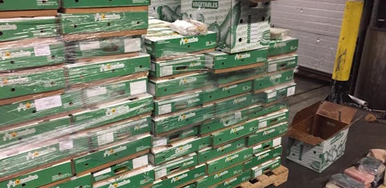Zoll stellt 73 kg Kokain in 5-Tonnen-Lieferung Avocados sicher