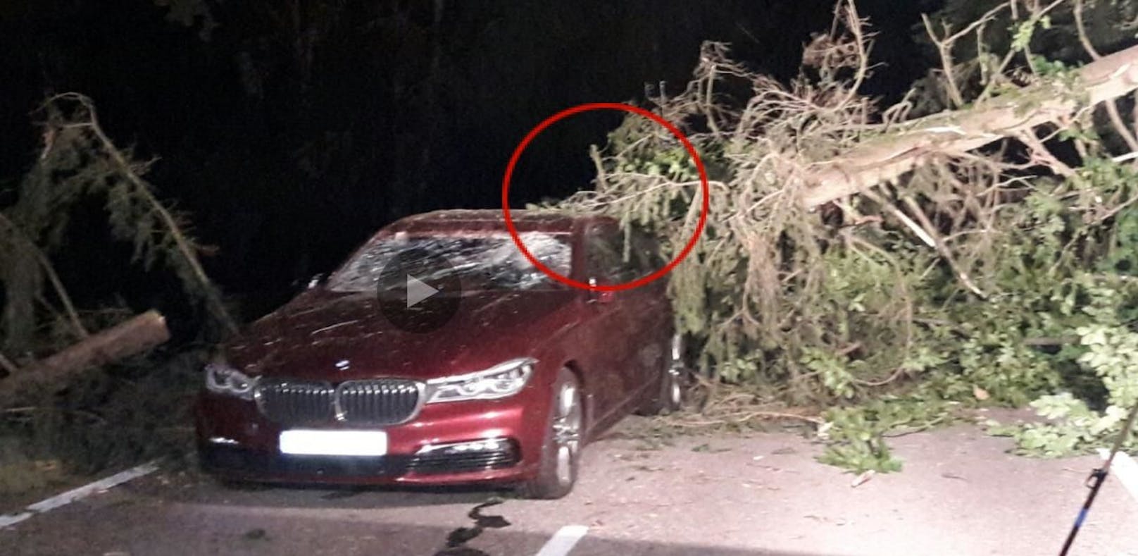 Sturm: Auto mitten in der Fahrt von Baum getroffen