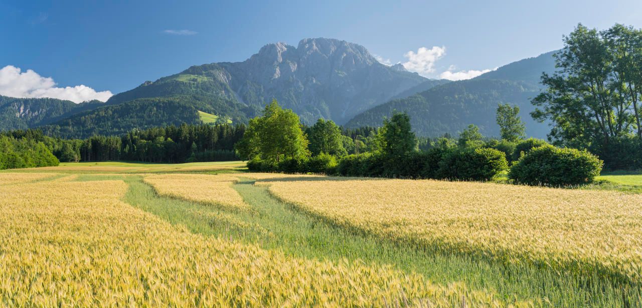Heute.at - Panik-Attacke am Gipfel: 25-Jährige mit Heli gerettet