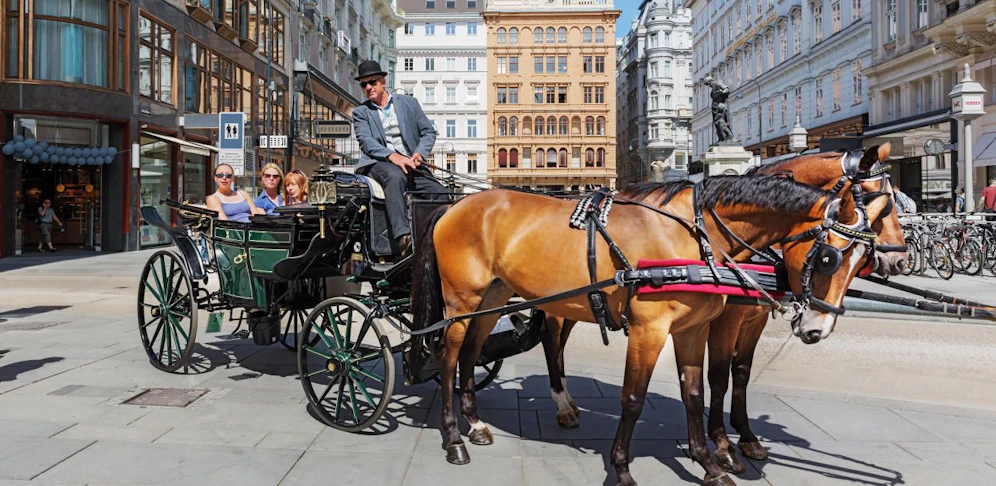 Typisch Wien oder Tierleid pur?