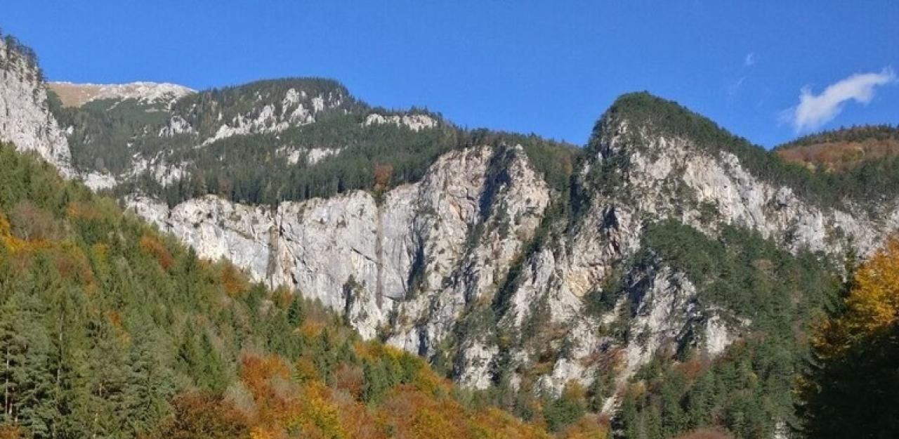 Das Unglück passierte am Donnerstag am Schneeberg in Niederösterreich.