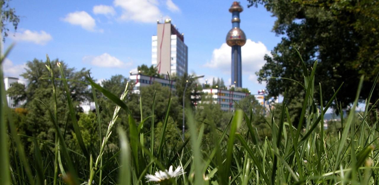 Heute.at - 18 Grad: Frühling kommt, die Pollen fliegen schon