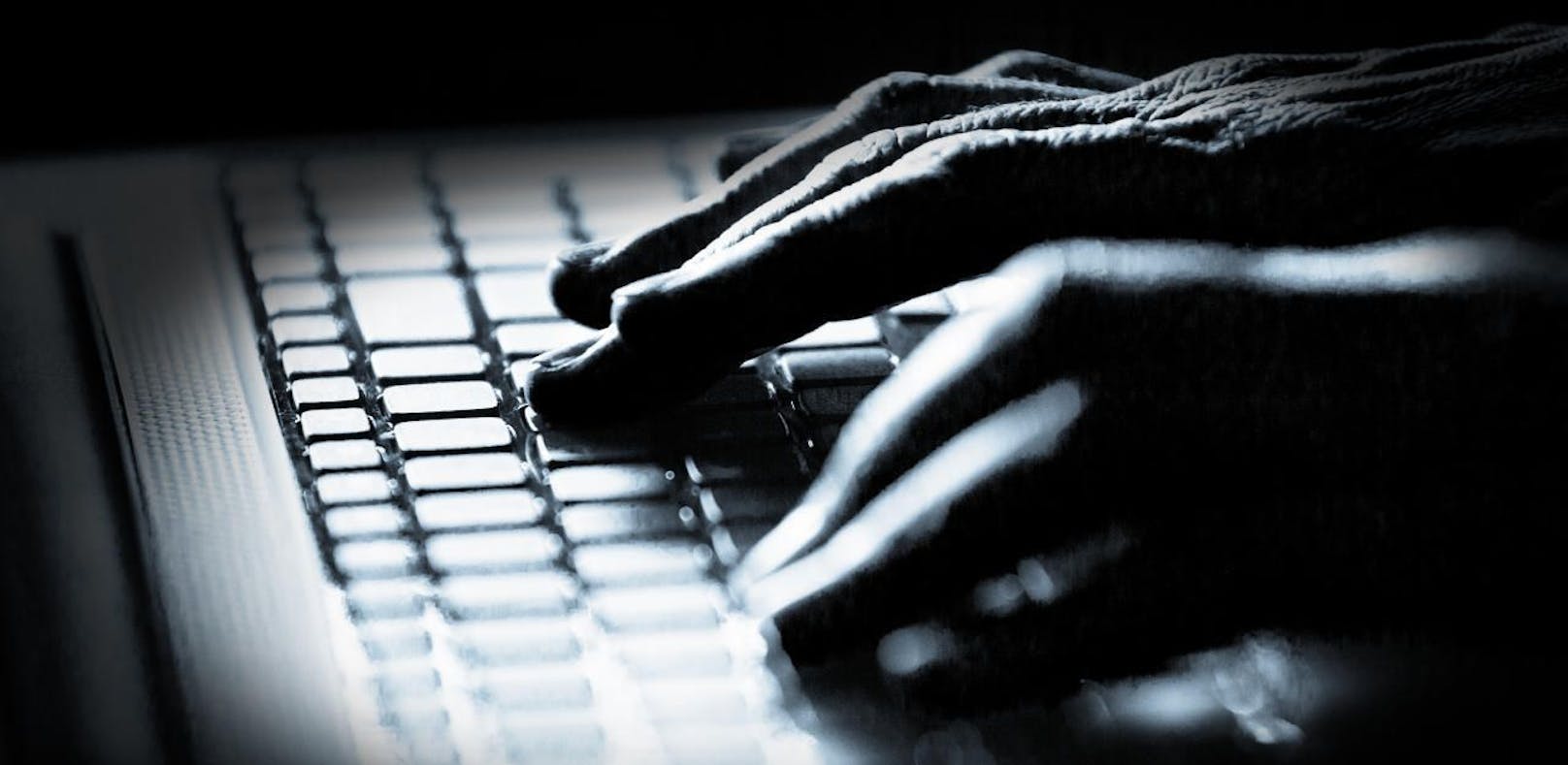 Die Dunkelziffer von Personen die Opfer von Online-Betrugsmaschen wurden ist laut Landeskriminalamt hoch.