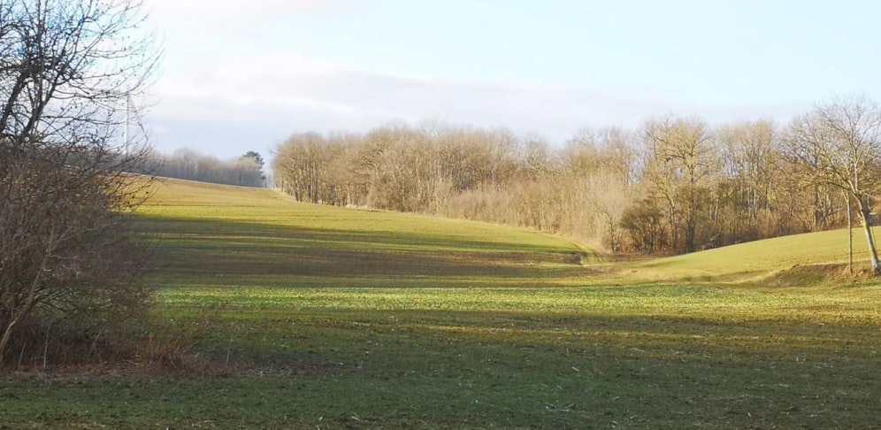 Richtig frühlingshaft zeigt sich das Wochenende.