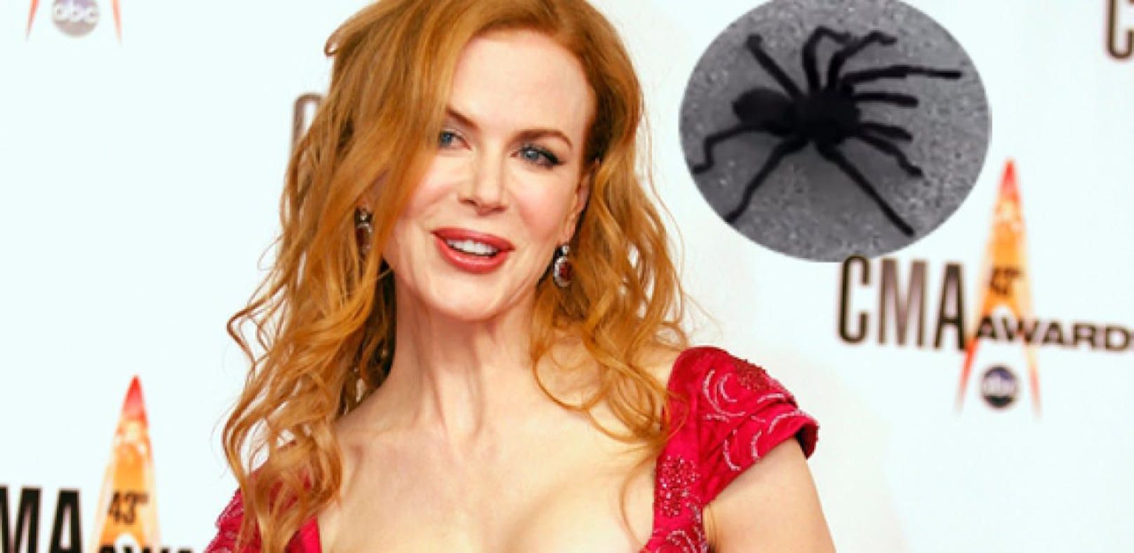 Nicole Kidman hat ein Herz für Riesenspinnen