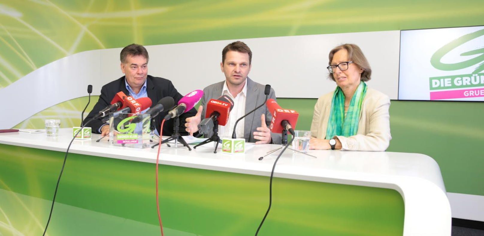 Steinhauser wird grüner  Klubchef im Parlament