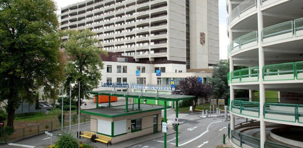 Im Landesklinikum Wr. Neustadt erlag er seinen Verletzungen. 