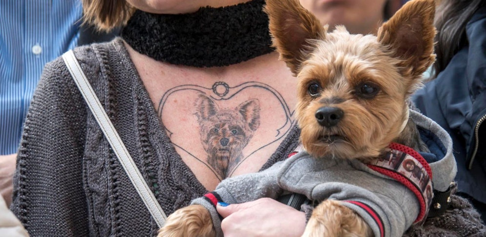 Das muss Liebe sein: Ein Frauerl mit doppeltem Terrier