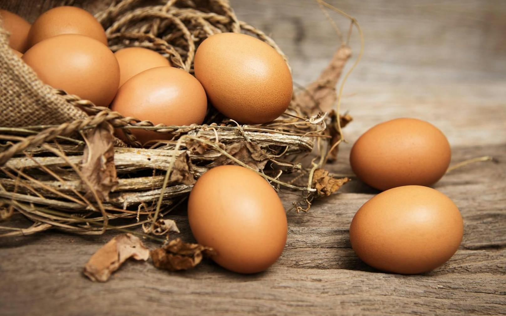 Fasten mit 6 - 12 Eiern pro Tag. Unter Anhängern der ketogenen Ernährung findet das Konzept Anklang. 
