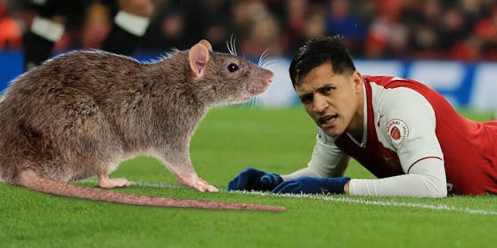 Neue Gegner für Alexis Sanchez. (Montage/Symbolbild)