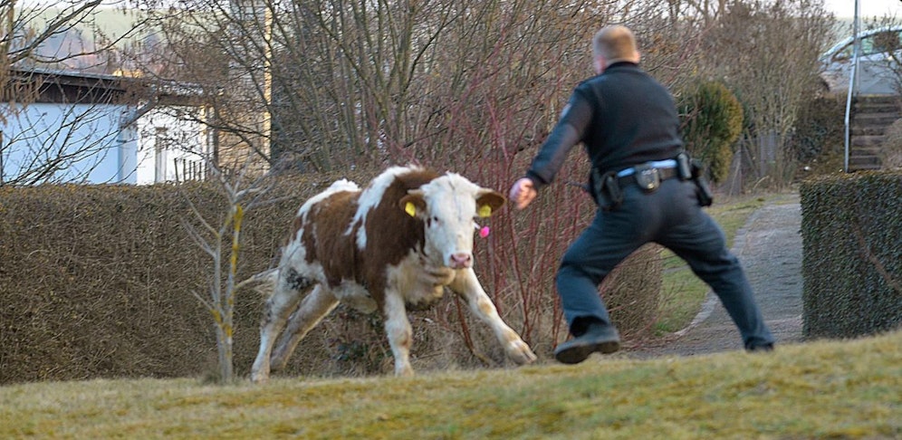 Die Polizei sperrte die Straße ab.
