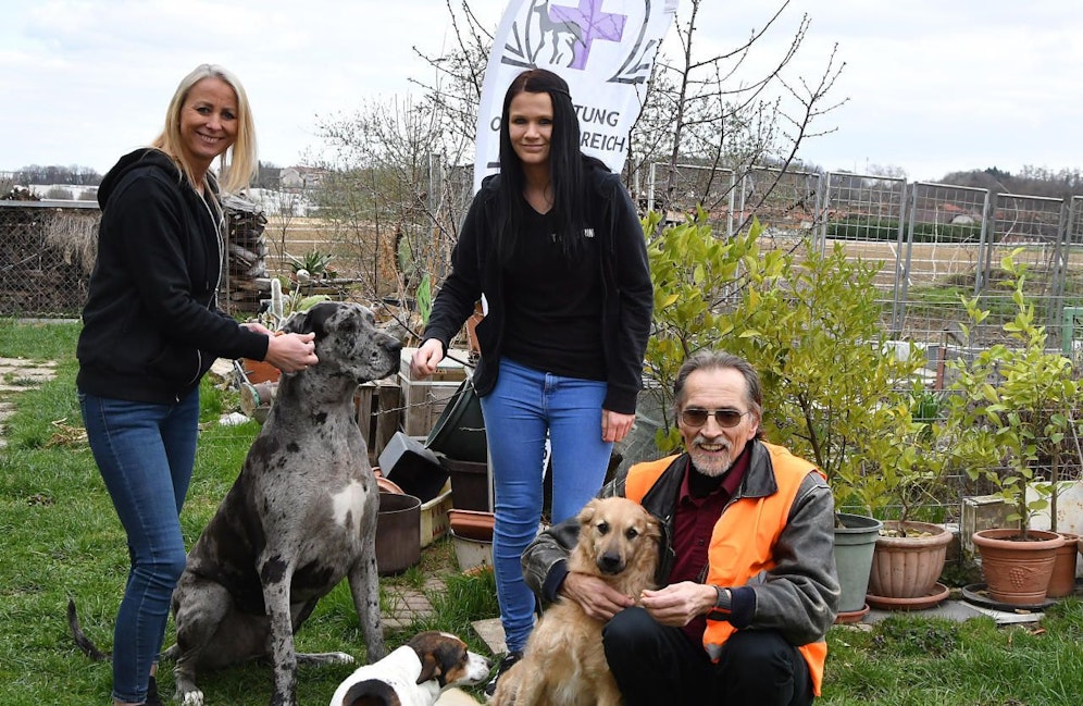 Wilhelm Schnebel und sein Team haben die Tierrettung vorübergehend geschlossen. 