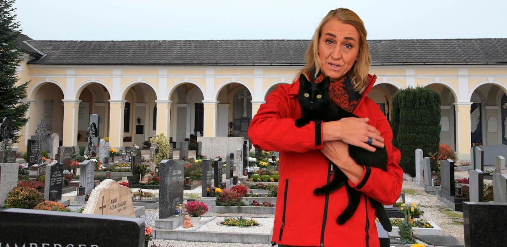 Sogar Schweizerin wollte Friedhofskatze "Blacky"
