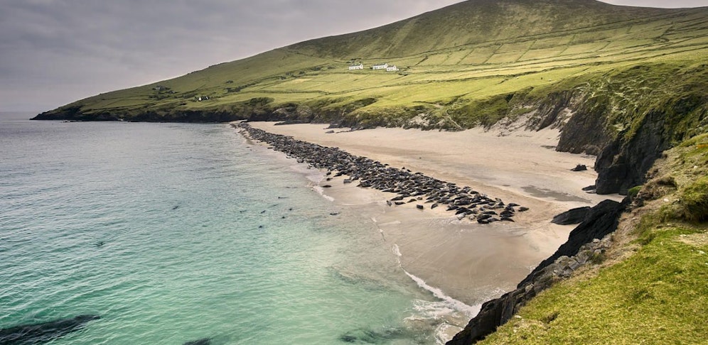 Irland - Grüne Insel am Rande Europas