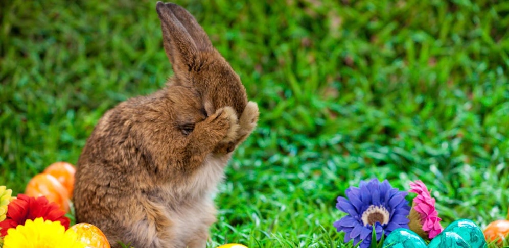 Auweh! Das mit dem schönen Wetter zu Ostern, klappt heuer nicht so ganz!