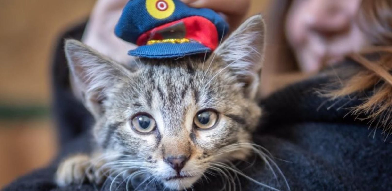 &quot;Cop-Cat&quot; trägt schon Kappe. (Foto: BMI/Gerd Pachauer) 
