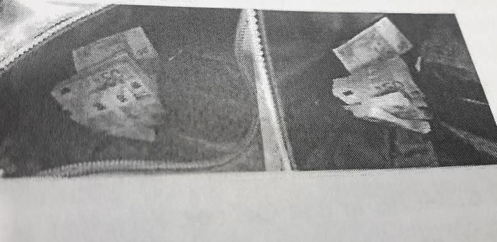 50-Euro-Bündeln in einem Rucksack. Straches Leibwächter soll ihn aus einer Kanzlei im Jahr 2013 abgeholt haben.