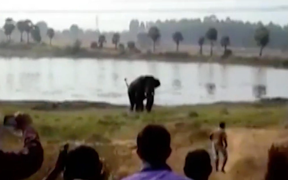 Die anderen Bauer versuchen, den Elefanten noch mit Steinen und Feuerwerks-Knallern zu verjagen, aber es ist zu spät. Das Tier hat einen Landwirt totgetrampelt. 