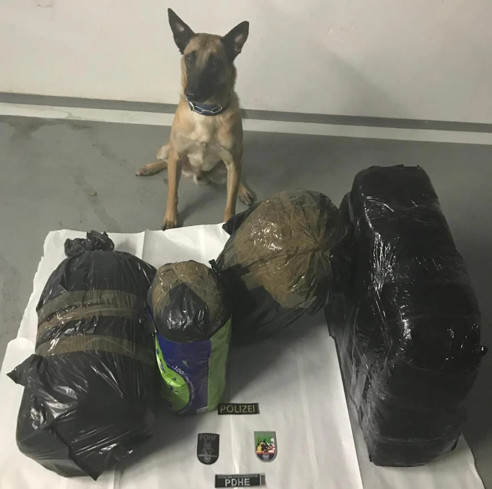 Hund "Action" und seine "Beute"