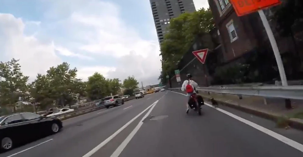 Auch abdrängen half nix: Der Hund lief auf dem Highway weiter, wurde aber später gerettet.