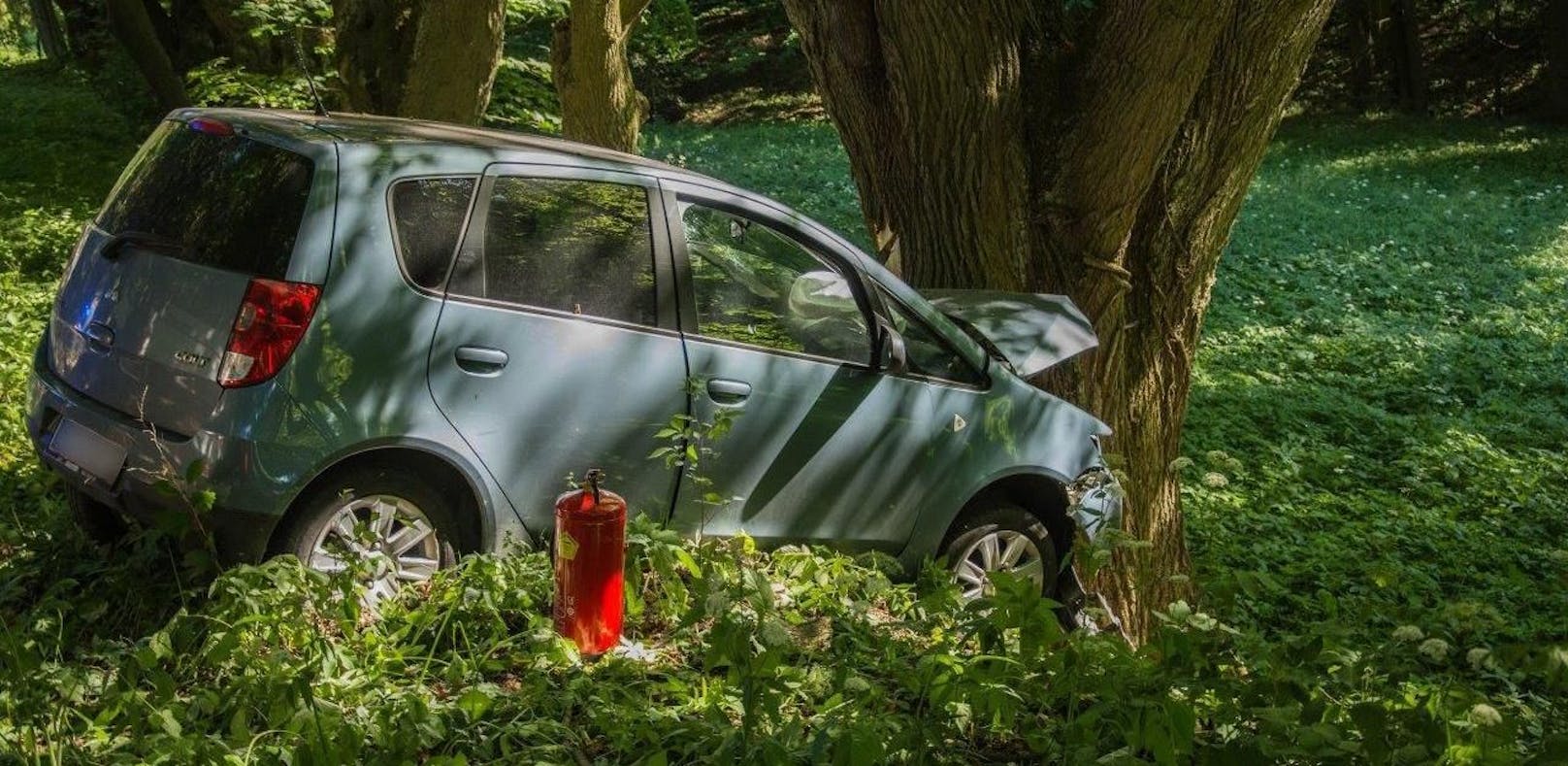 Pkw-Lenker krachte frontal gegen Baum