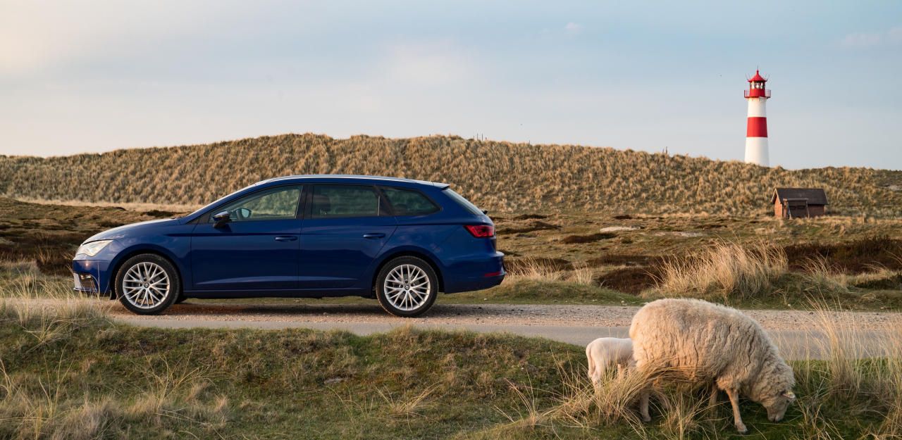 Heute.at - Diesel? Strom? Seat setzt jetzt auf Erdgas-Antriebe