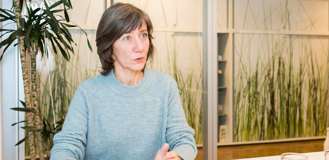 Heute.at - Hebein dritte Kandidatin für Grünen-Spitze