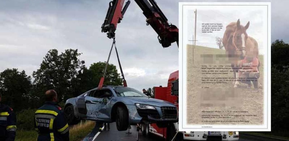 Das Audi-Wrack (li.); Pate mit Tanjas Liebling Speiky (re.)