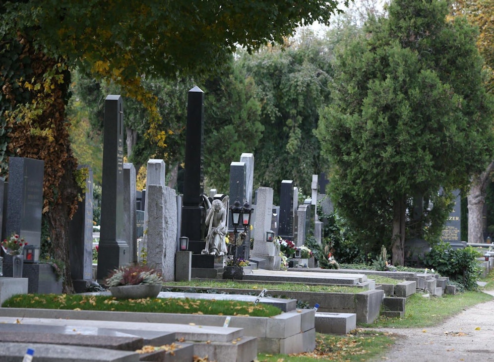 Hast Du den Zentralfriedhof schon bei Nacht gesehen? Möglich wird das ab 19. Oktober mit einer geführten Taschenlampen-Tour. 