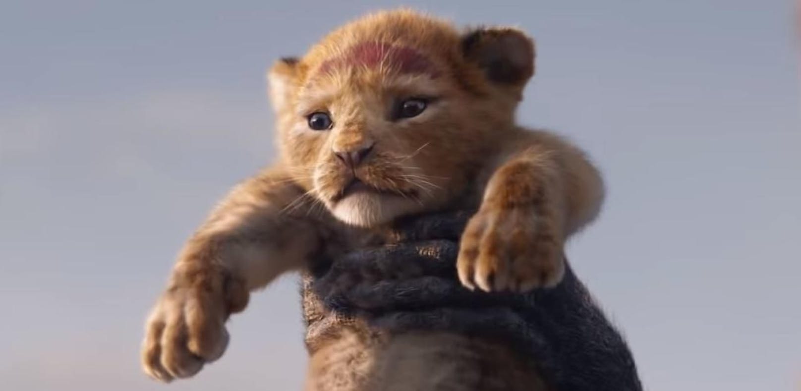 Disney zeigt ersten Teaser vom "König der Löwen"