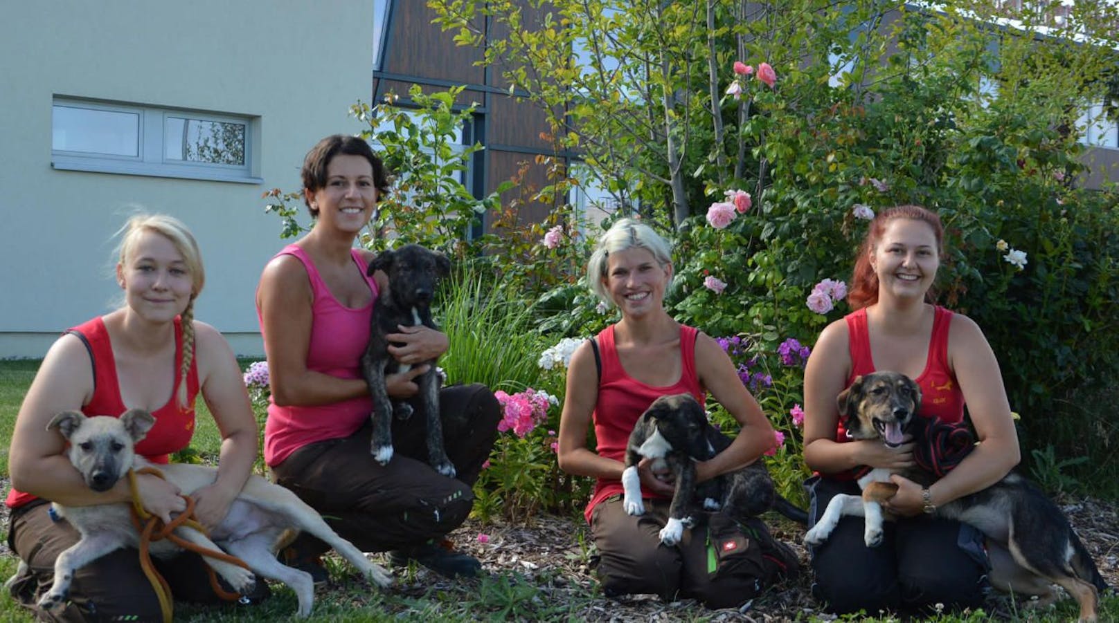v.li. Roro, Bobbi, Mia und Raya mit TierQuarTier Wien Tierpflegerinnen
