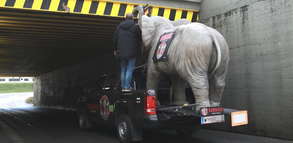 Dickhäuter auf Abwegen: Wegen seines erhobenen Rüssels kam ein Plastikelefant in Gerasdorf nicht weiter.