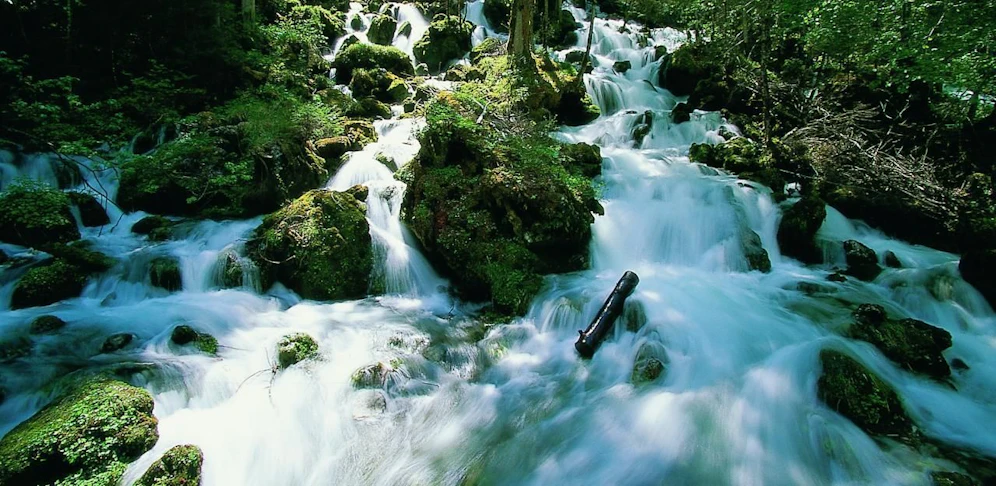 Im Rahmen der "Wiener Wasserschule" erfahren Schüler der 2. bis 8. Schulstufe, auf welchen Wegen das Wiener Trinkwasser aus dem Quellgebiet - hier die steirische Kläfferquelle - in die Wasserleitungen der Wiener Haushalte fließt. Wegen der Corona-Krise wird der Wissensdurst nun online gestillt. 