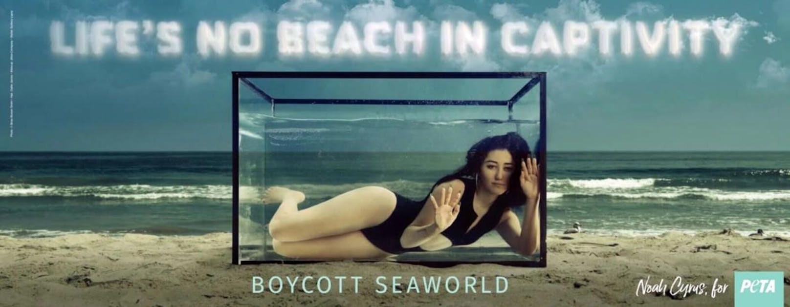 Noah Cyrus für PETA Boycott Seaworld