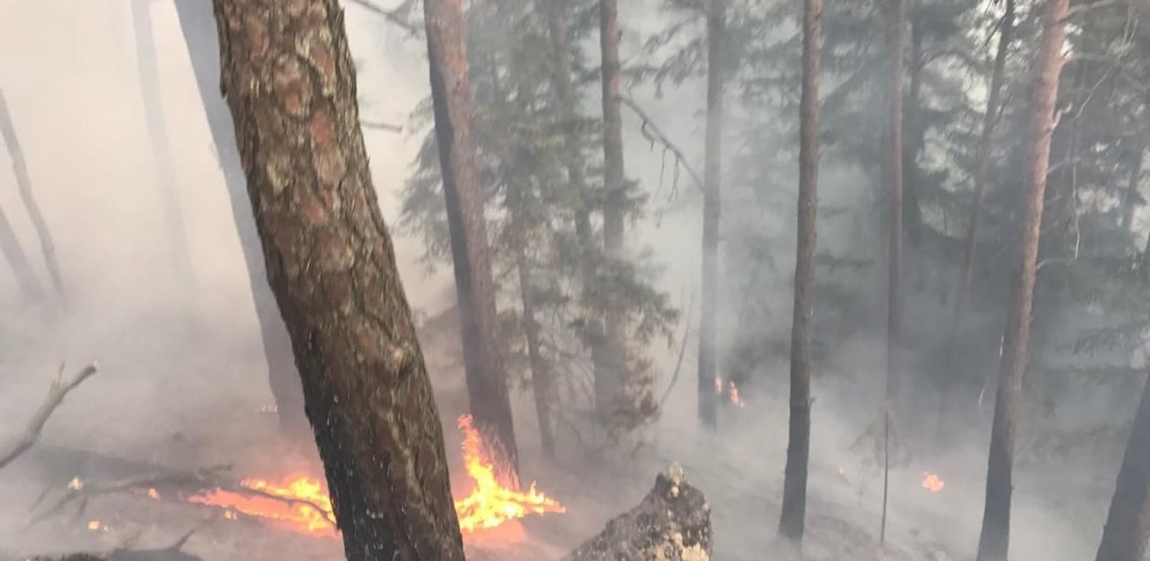 Waldbrand: 120 Florianis und zwei Helis im Einsatz