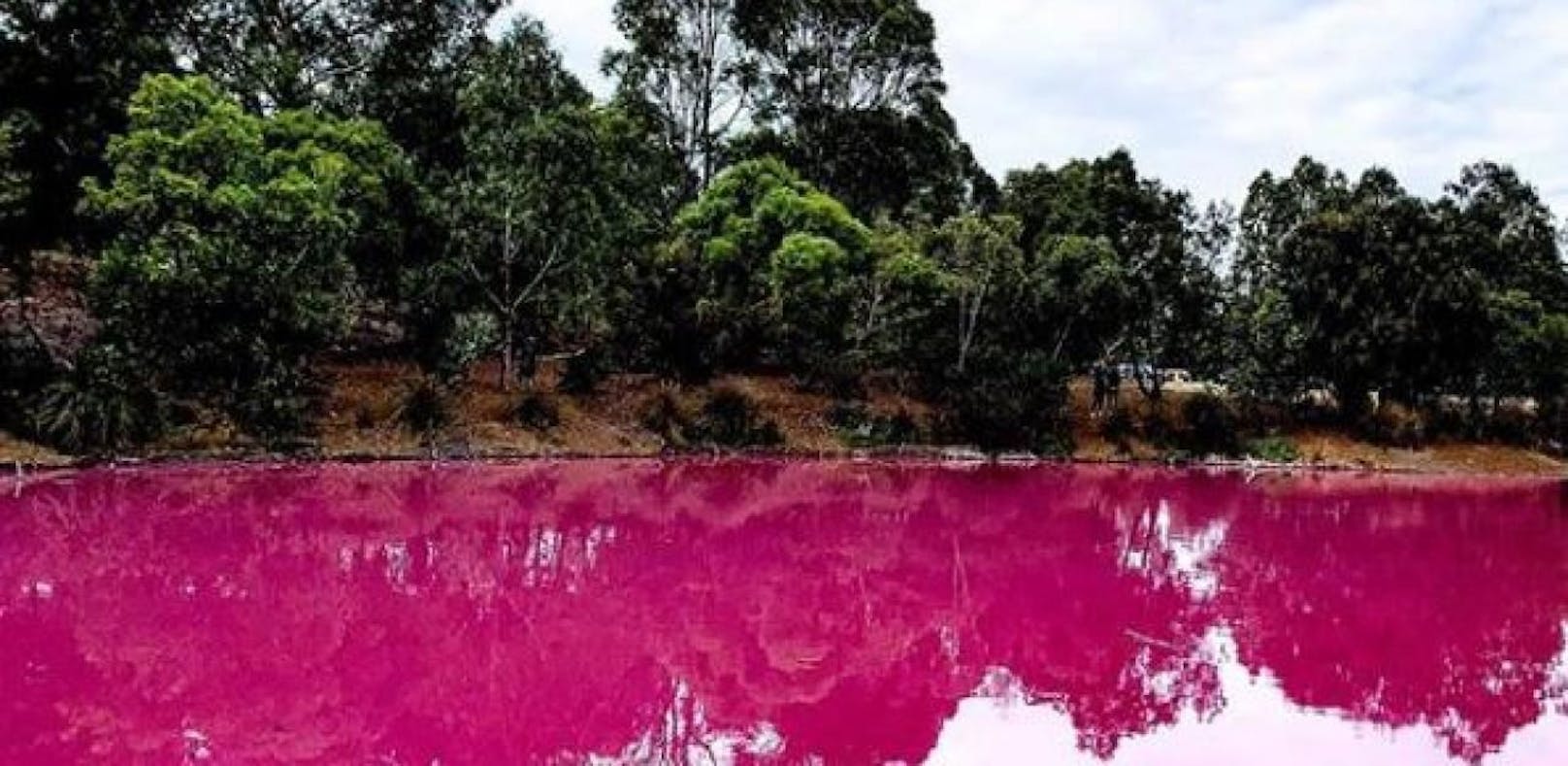 Der Pink Lake in Melbourne, Australien, färbt sich selbst um - deshalb wurde er zur Top-Attraktion für Touristen.