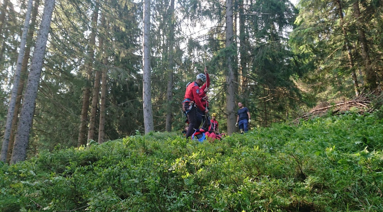 Heute.at - Rätsel um Tod – Mann geht alleine in Wald und stirbt