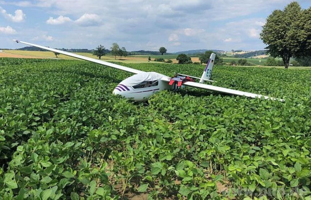 Der Pilot des Segelfliegers musste in einem Feld notlanden. 