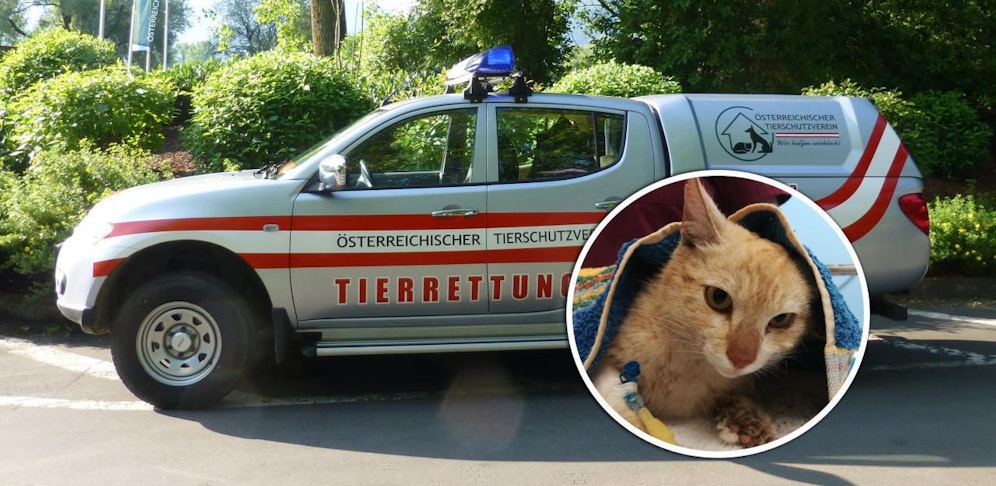 Das alte Auto kann bald keinen Tieren mehr helfen.