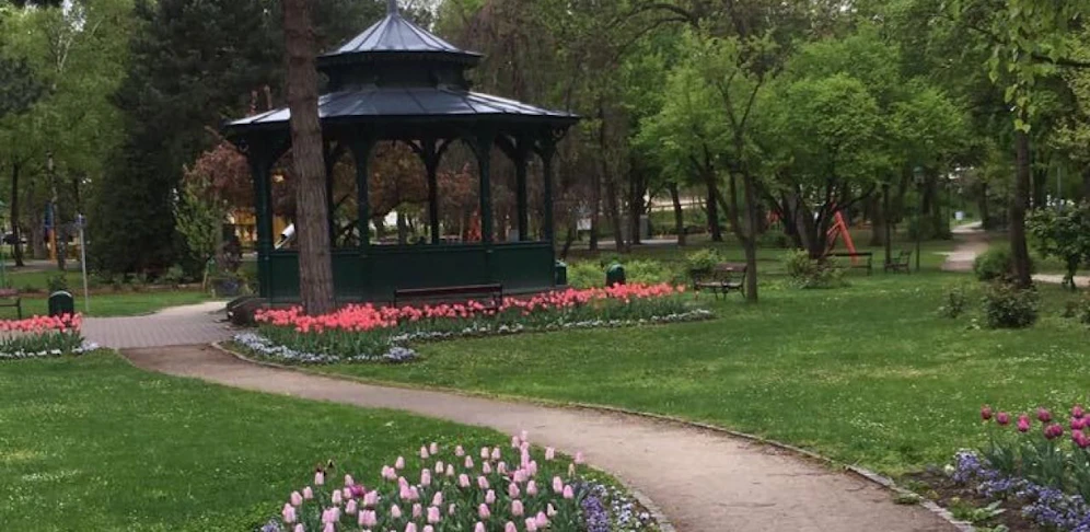 Im Stadtpark kam es am 28. August zu der Attacke. 