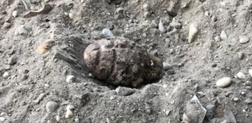 Explosiver Fund in Wien-Floridsdorf.