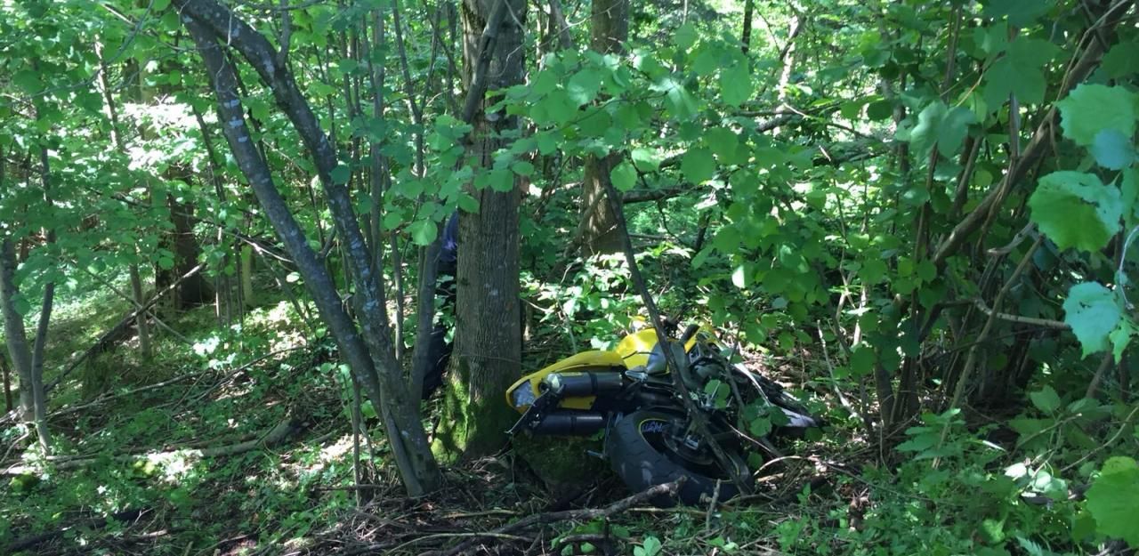 Heute.at - 10 Meter abgestürzt: Biker per Heli in Schockraum
