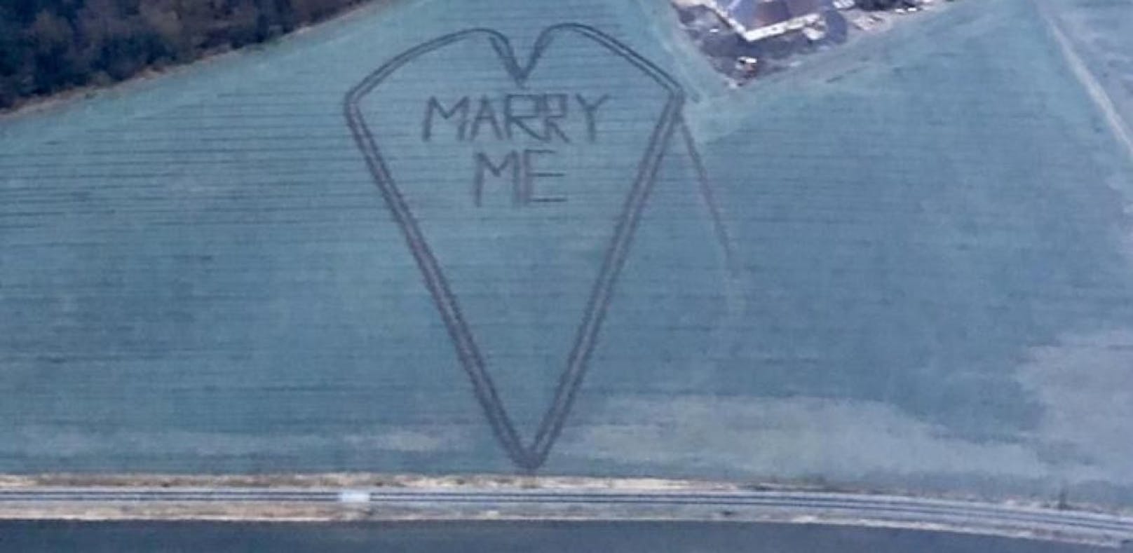 "Marry me" im Acker: Bauer zeigt großes Herz