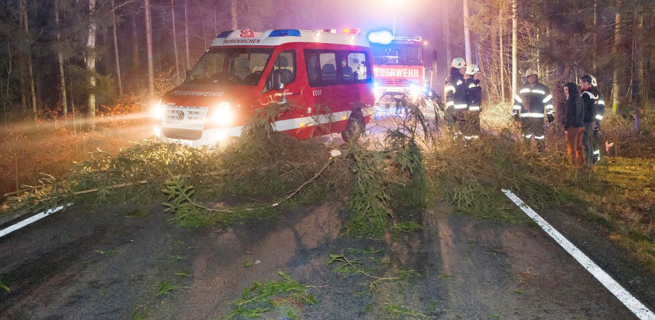 Heute.at - Baum gefällt und damit einen Unfall verursacht