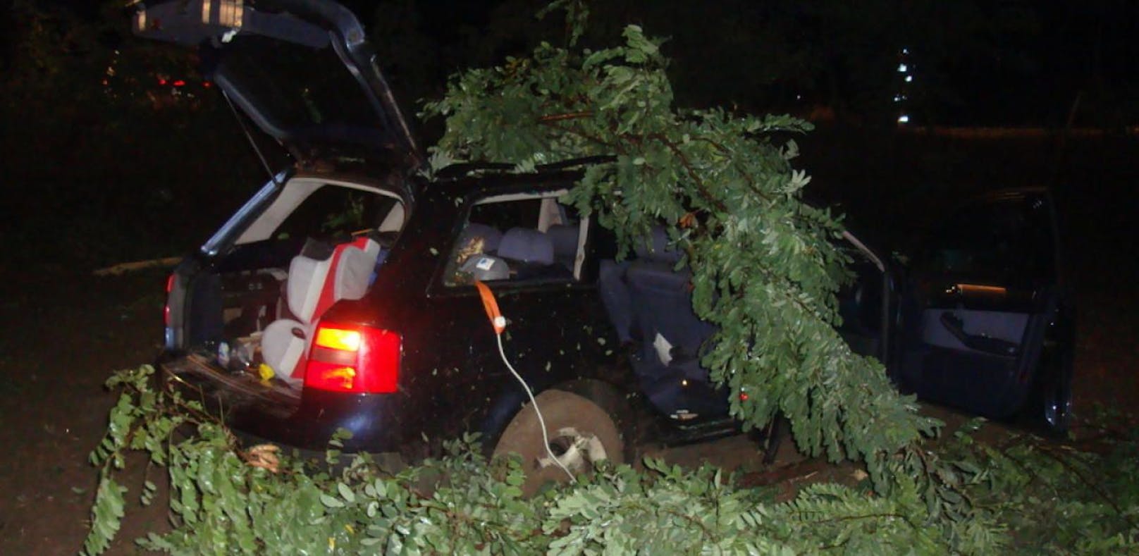 Auto mit 3 Insassen gegen Baum: Lenker im Spital