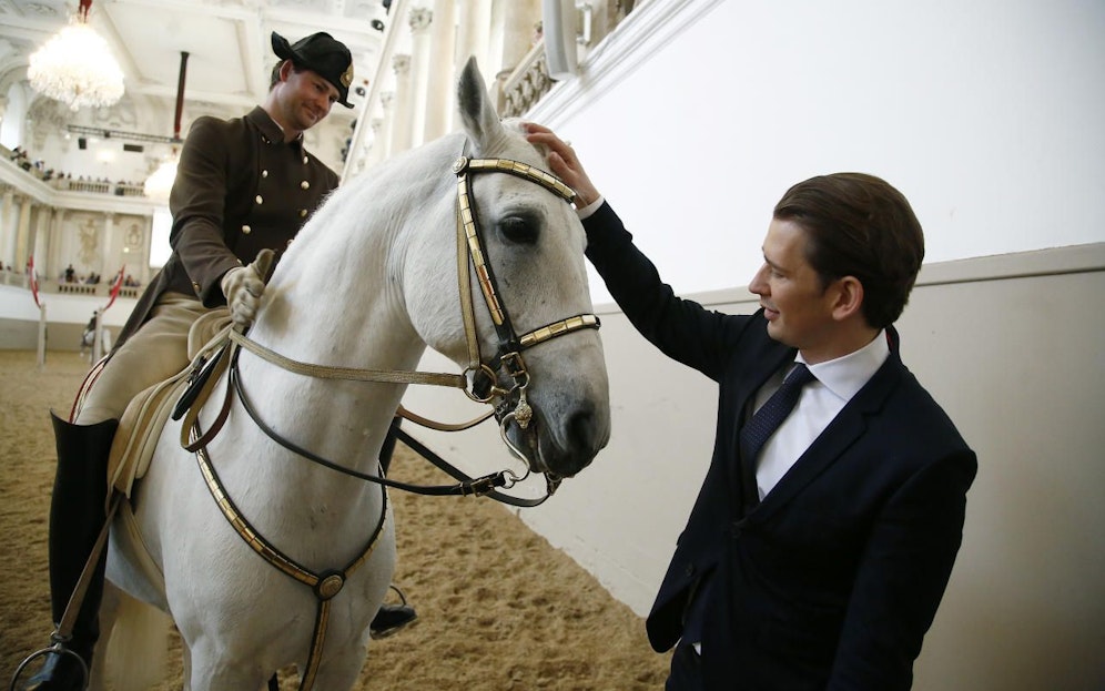 Kanzler Kurz mit dem Lipizzaner für den Kronprinzen der Vereinigten Arabischen Emirate.